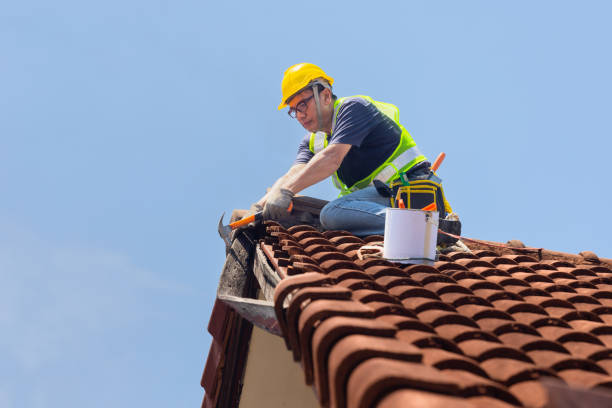 Best Commercial Roofing Services  in Bolinas, CA